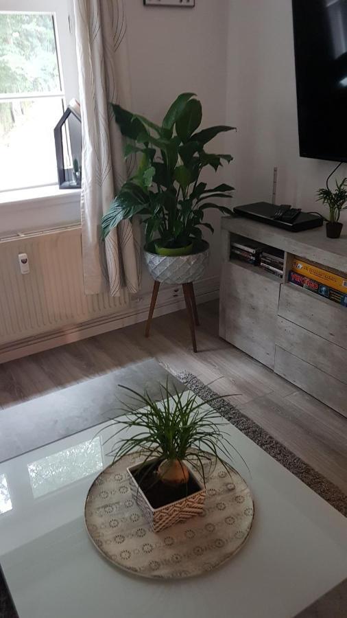 Stadtnah An Der Forde Apartment Flensburg Ngoại thất bức ảnh